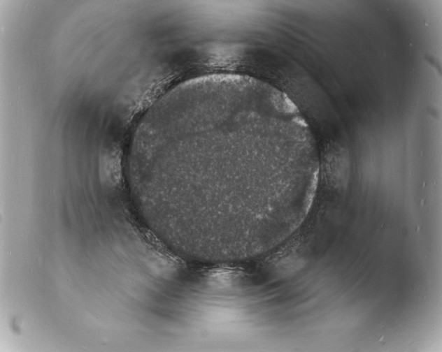 X0000103970504200810171928