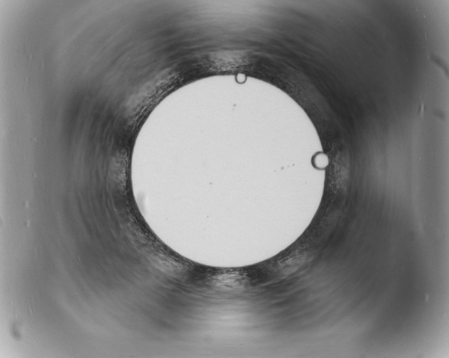 X0000103970505200810171928