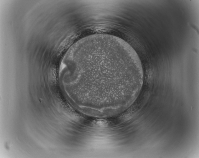 X0000103970506200810171928