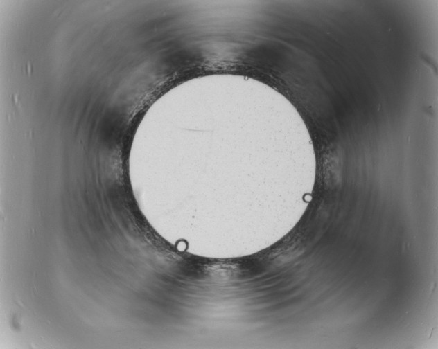 X0000103970508200810171928