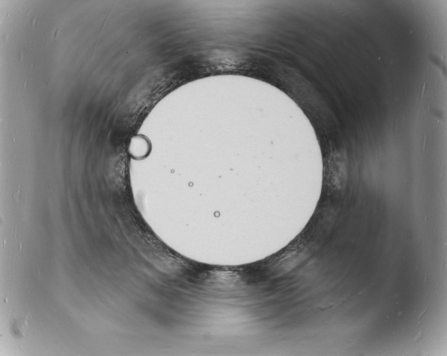 X0000103970509200810171928
