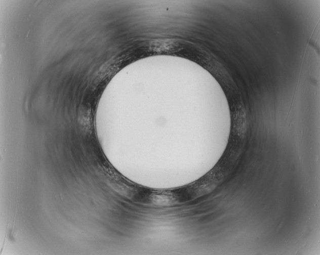 X0000103970510200810171928