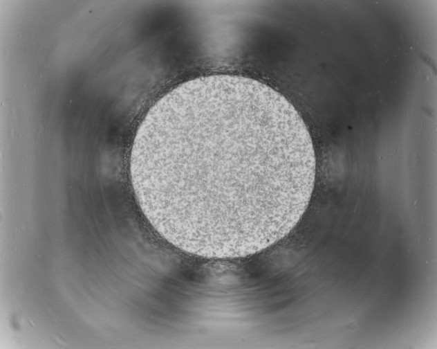 X0000103970512200810171928