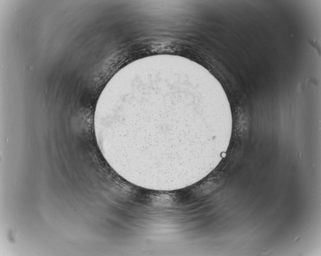 X0000103970513200810171928