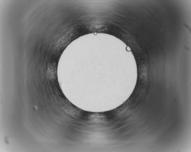 X0000103970515200810171928