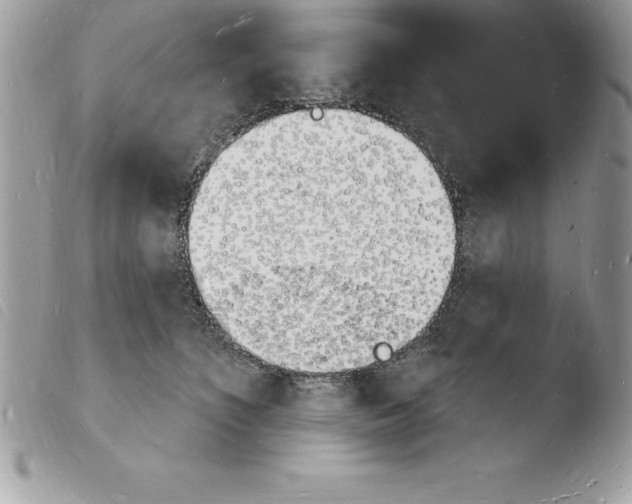 X0000103970516200810171928