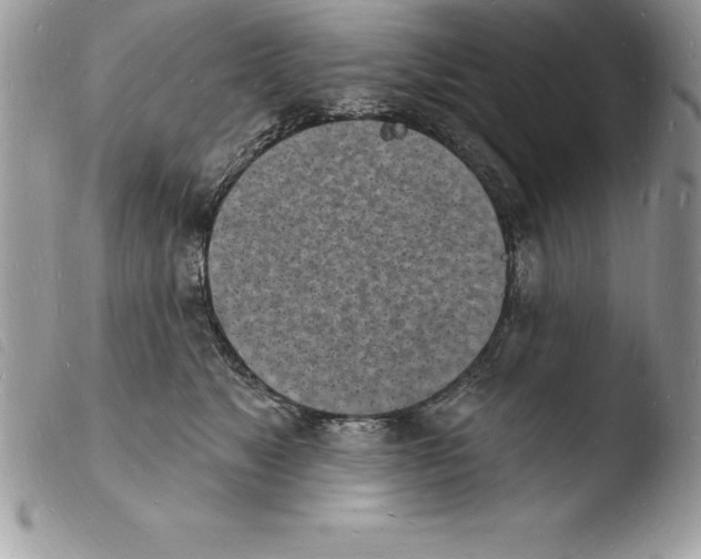 X0000103970517200810171928