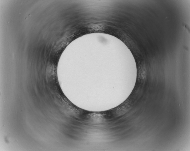 X0000103970518200810171928