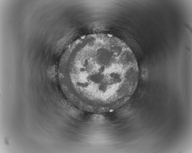 X0000103970519200810171928