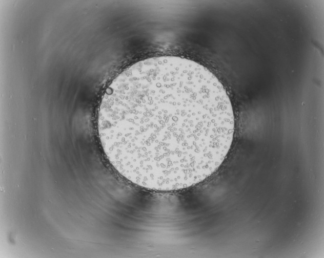 X0000103970520200810171928