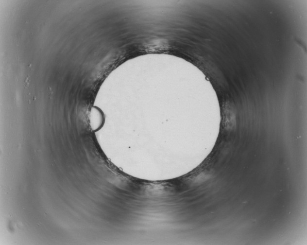 X0000103970523200810171928