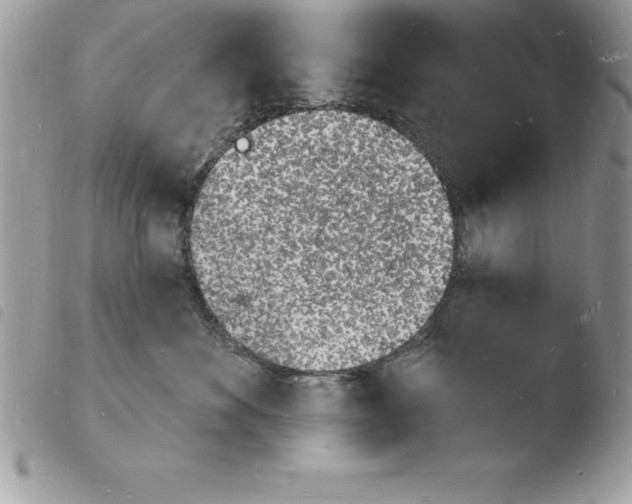 X0000103970524200810171928