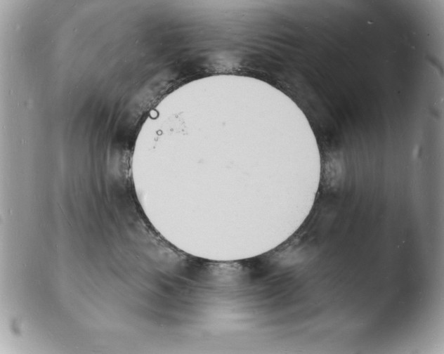 X0000103970525200810171928