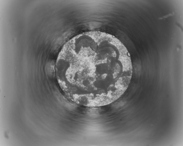 X0000103970527200810171928
