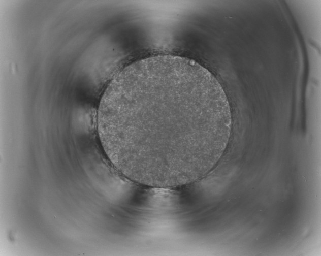 X0000103970528200810171928