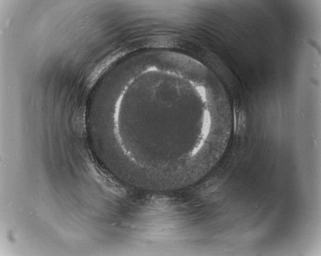 X0000103970531200810171927