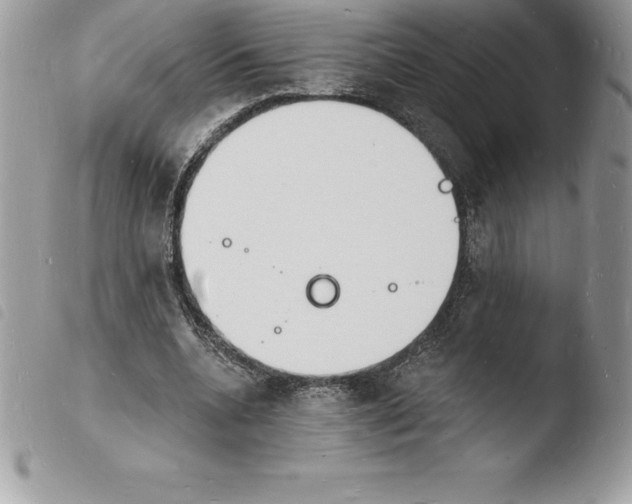 X0000103970536200810171927