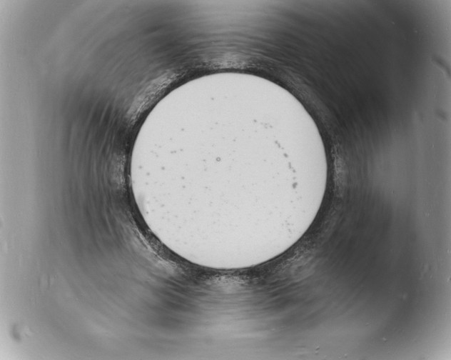 X0000103970537200810171927