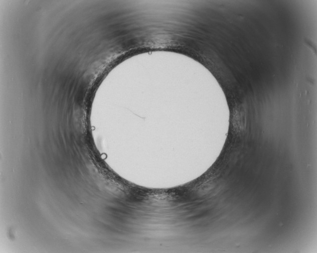 X0000103970540200810171927
