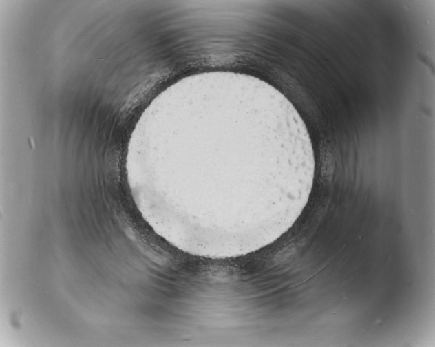 X0000103970542200810171927
