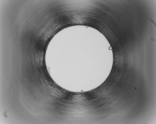 X0000103970544200810171927