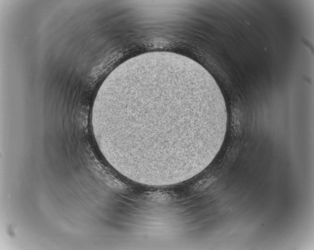 X0000103970545200810171927