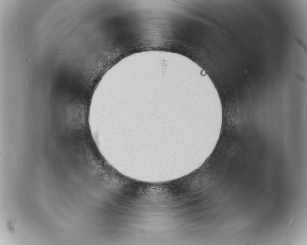 X0000103970546200810171927