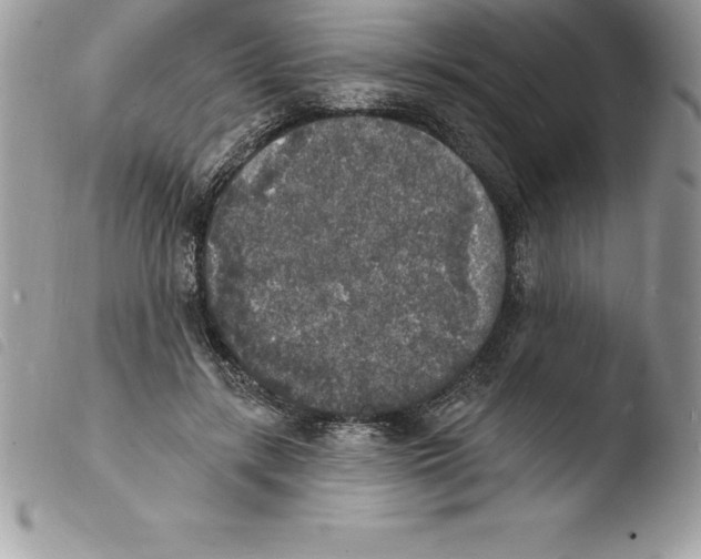 X0000103970547200810171927