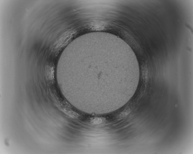 X0000103970549200810171927