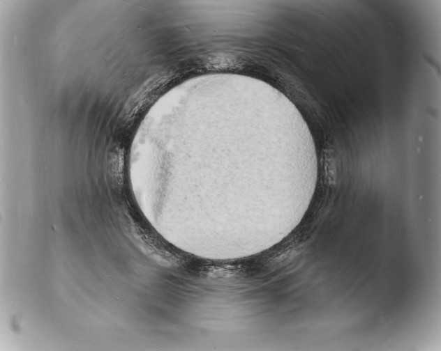X0000103970550200810171927