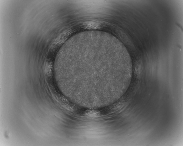 X0000103970551200810171927