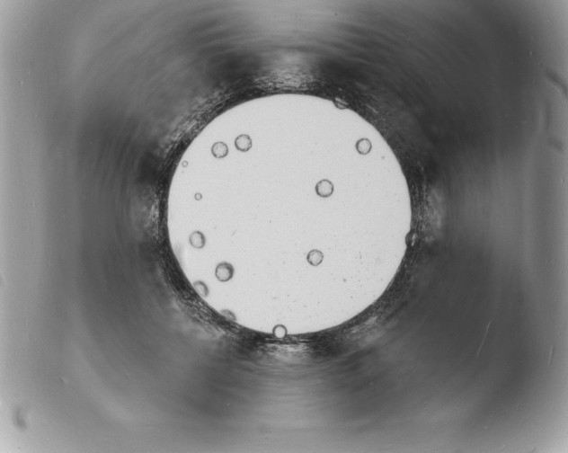 X0000103970552200810171927