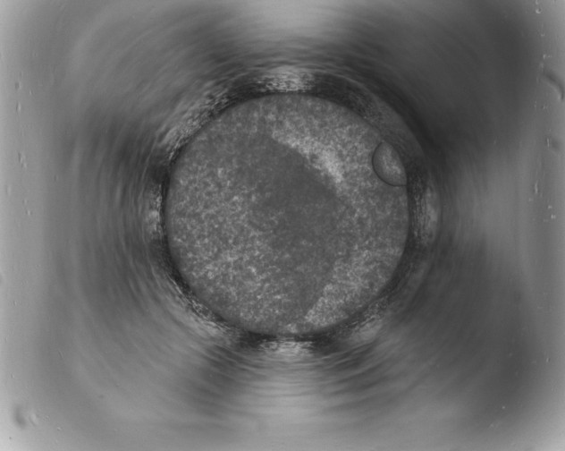 X0000103970553200810171927