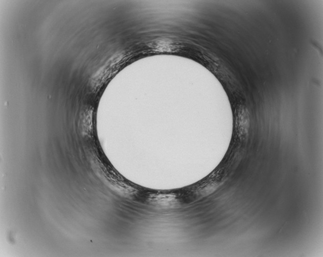 X0000103970554200810171927