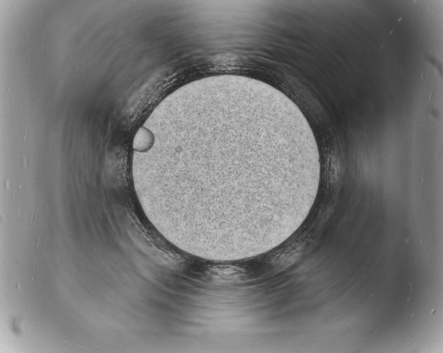 X0000103970557200810171927