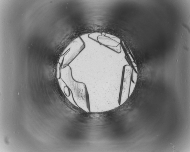 X0000103970558200810171928