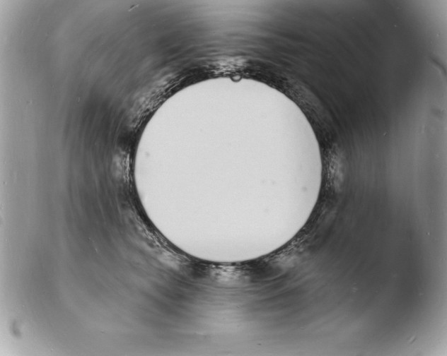 X0000103970565200810171928
