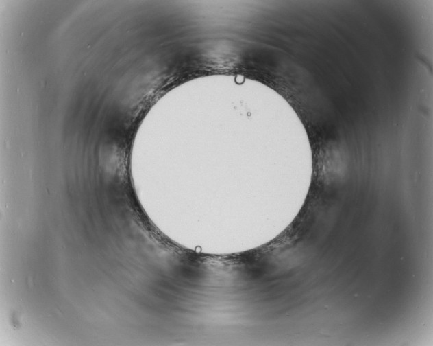 X0000103970568200810171928