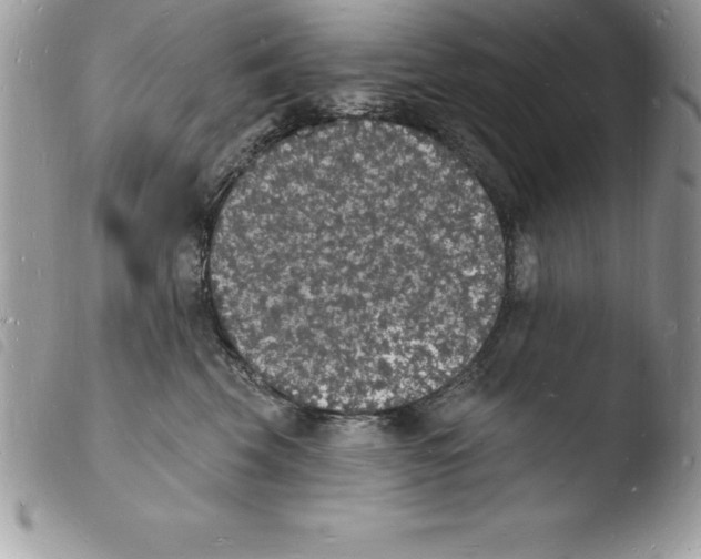 X0000103970569200810171928