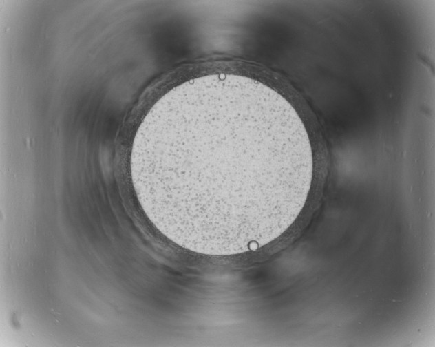 X0000103970570200810171928