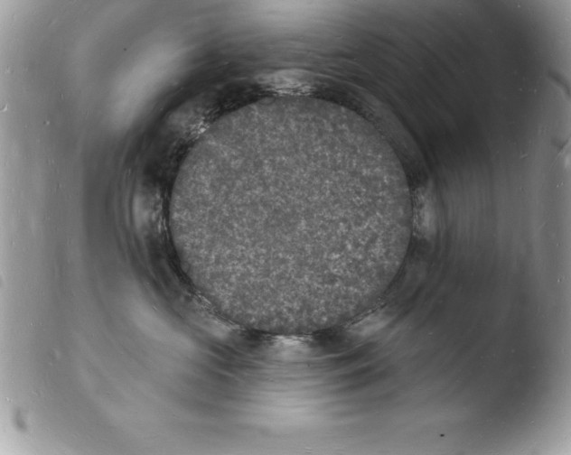 X0000103970573200810171928