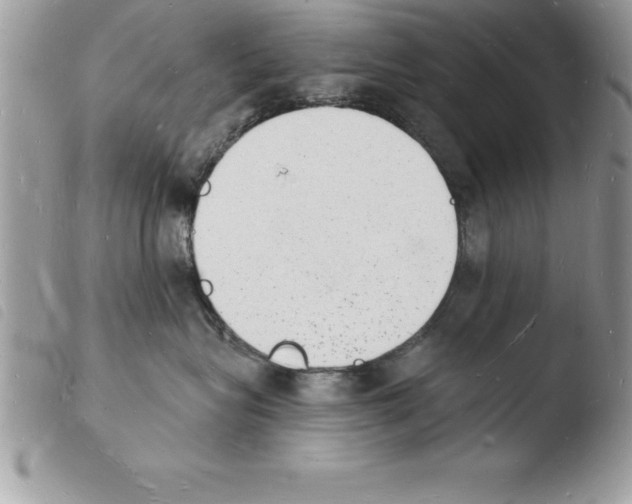 X0000103970575200810171928