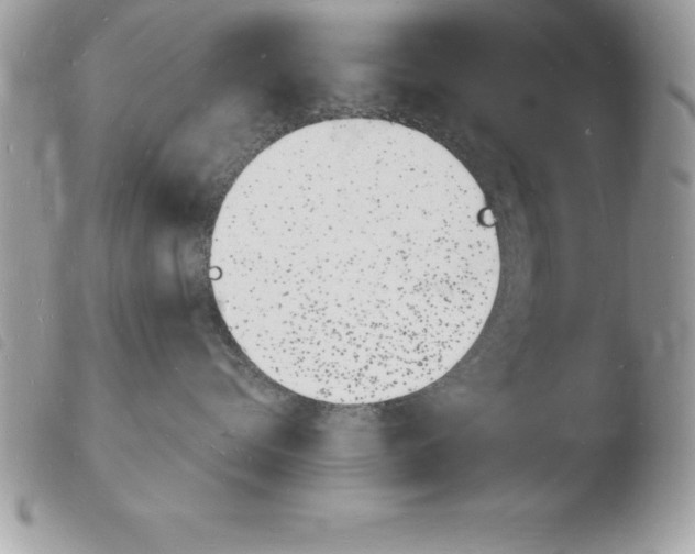 X0000103970576200810171928
