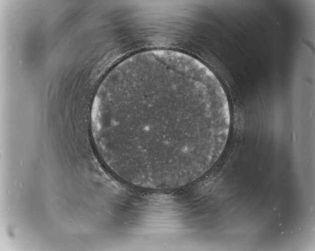 X0000103970577200810171927