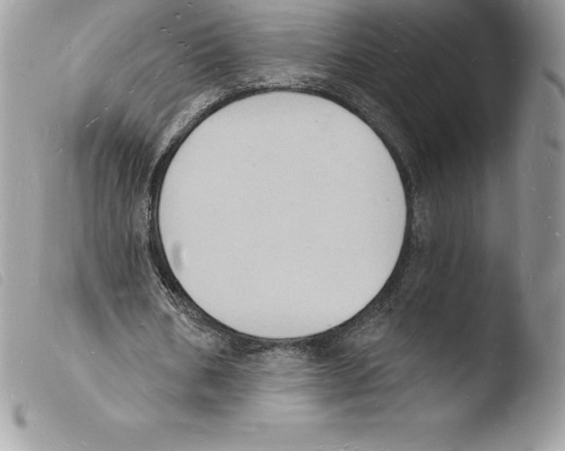 X0000103970578200810171927