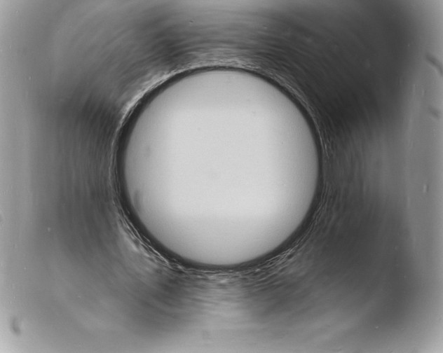 X0000103970579200810171927