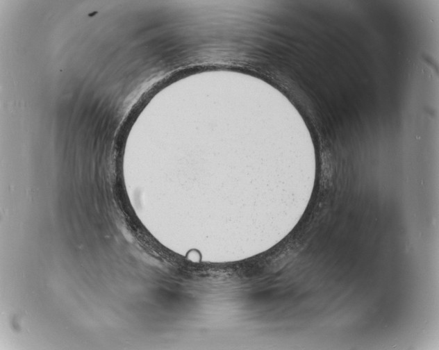 X0000103970580200810171927