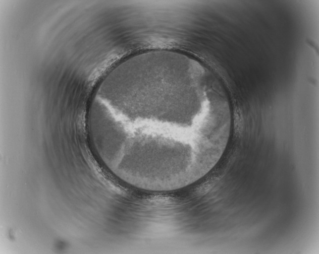 X0000103970581200810171927