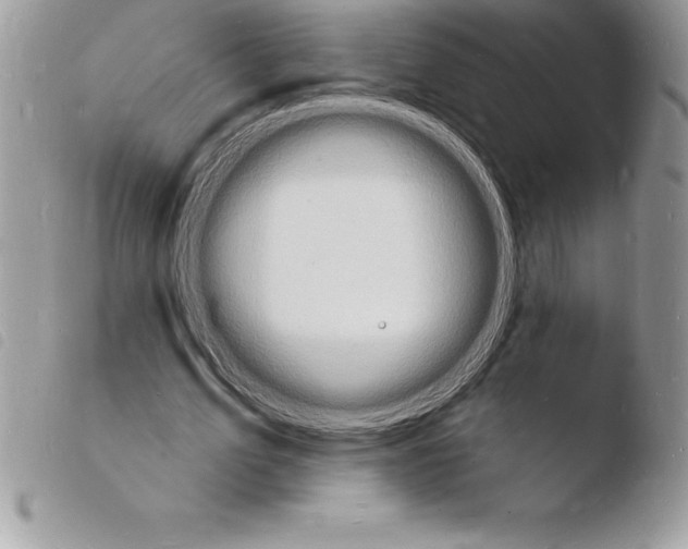 X0000103970583200810171927