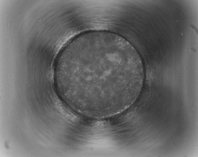 X0000103970584200810171927